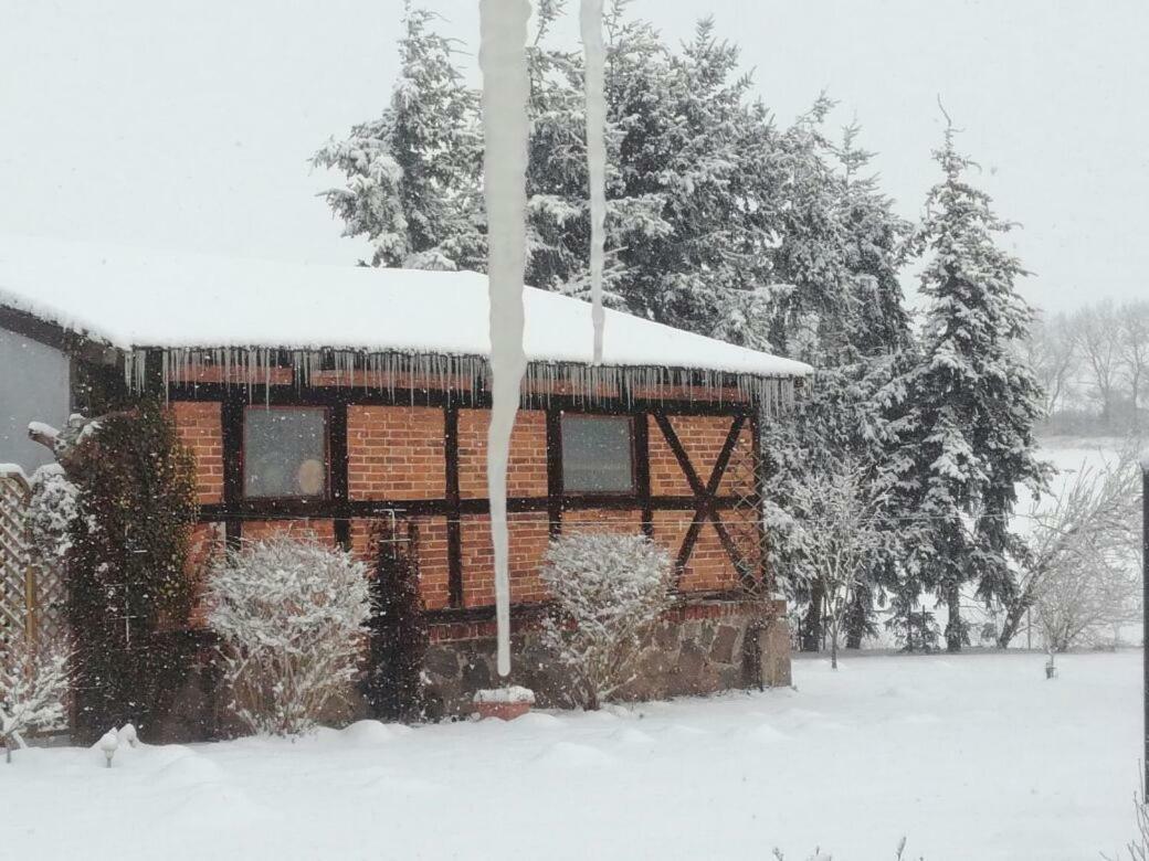 Apartamento Familienhof Müritz Klein Plasten Exterior foto